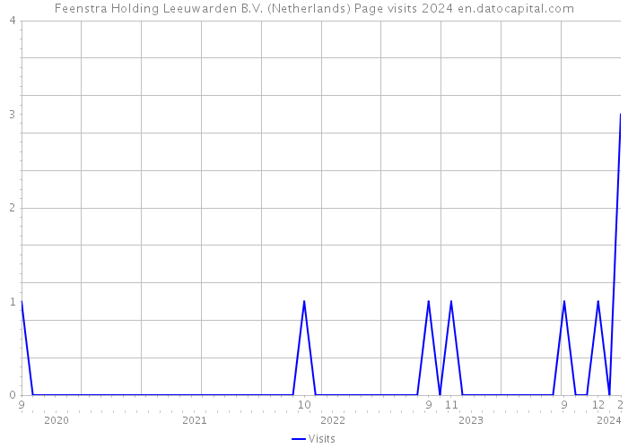 Feenstra Holding Leeuwarden B.V. (Netherlands) Page visits 2024 