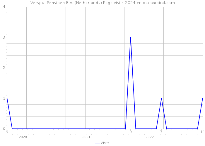 Verspui Pensioen B.V. (Netherlands) Page visits 2024 