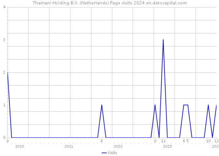 Thamani Holding B.V. (Netherlands) Page visits 2024 