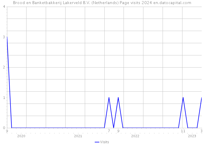 Brood en Banketbakkerij Lakerveld B.V. (Netherlands) Page visits 2024 