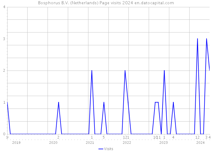 Bosphorus B.V. (Netherlands) Page visits 2024 