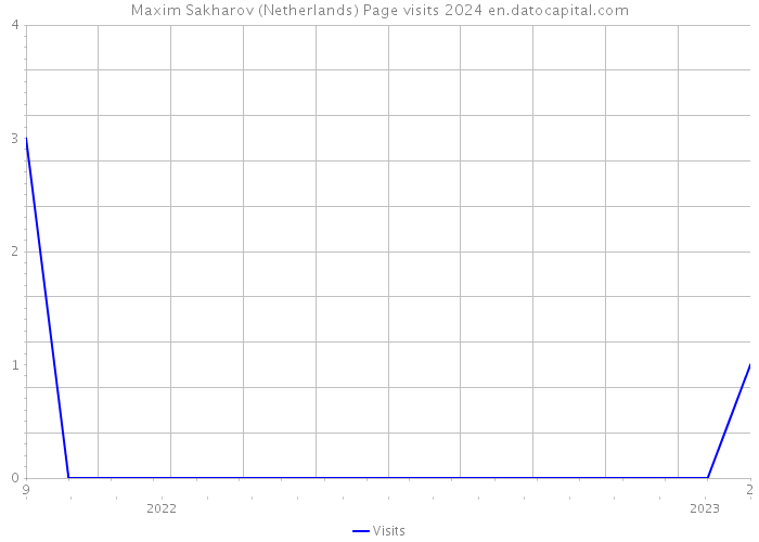 Maxim Sakharov (Netherlands) Page visits 2024 