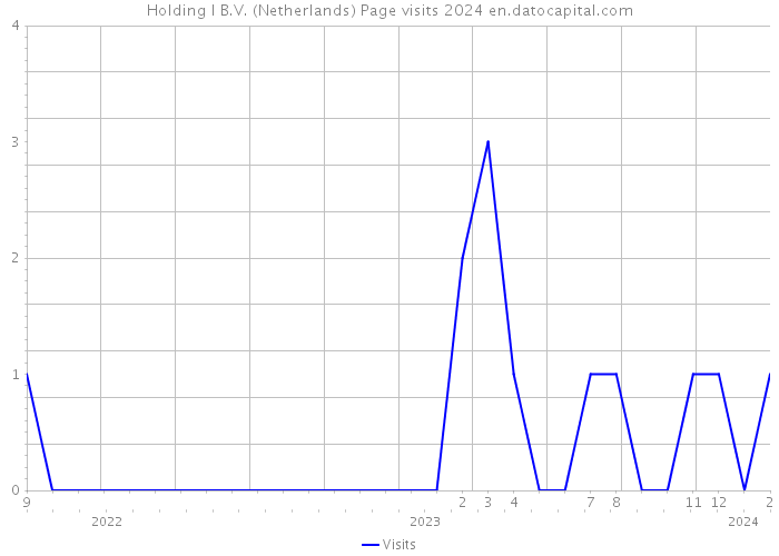 Holding I B.V. (Netherlands) Page visits 2024 