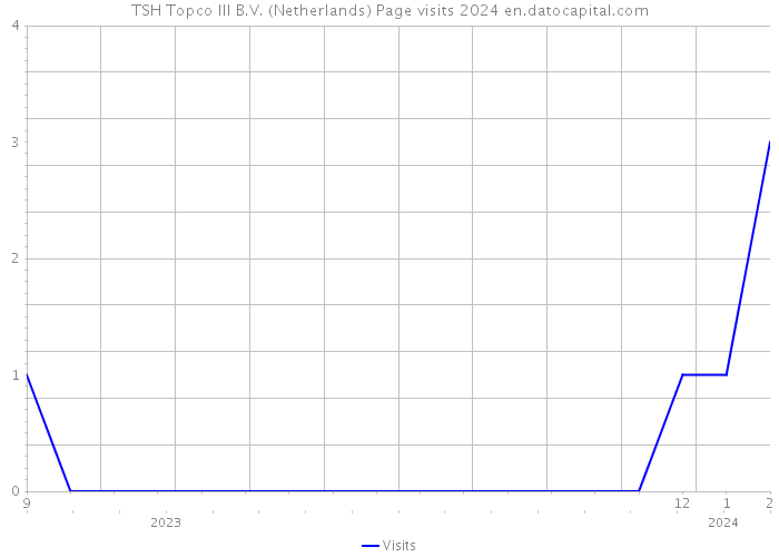 TSH Topco III B.V. (Netherlands) Page visits 2024 