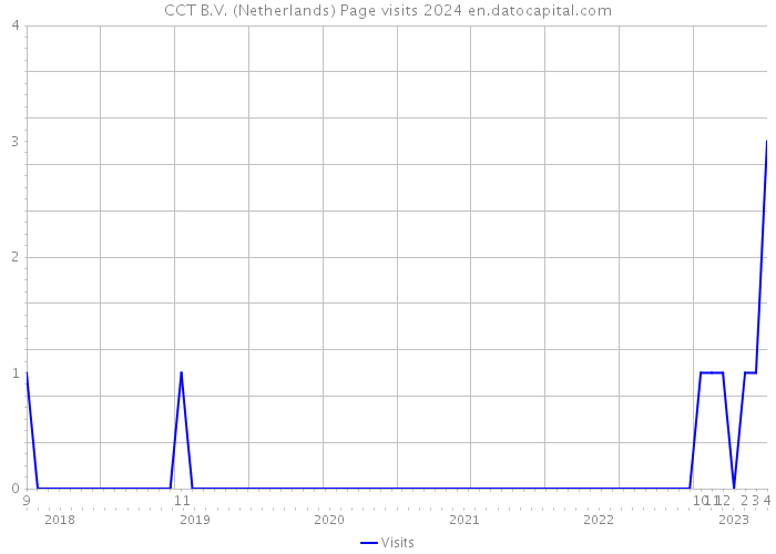 CCT B.V. (Netherlands) Page visits 2024 