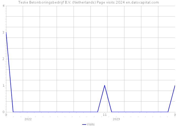Teske Betonboringsbedrijf B.V. (Netherlands) Page visits 2024 