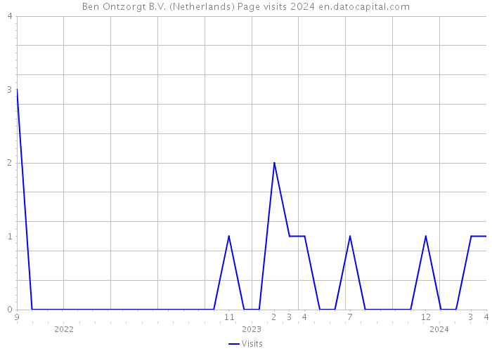 Ben Ontzorgt B.V. (Netherlands) Page visits 2024 