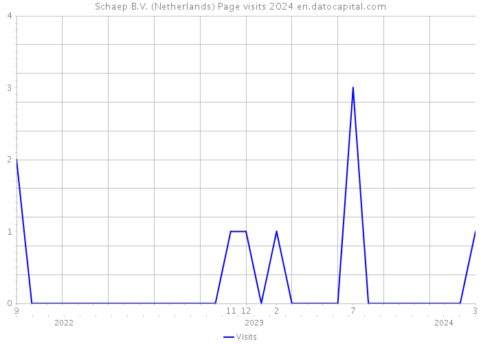 Schaep B.V. (Netherlands) Page visits 2024 