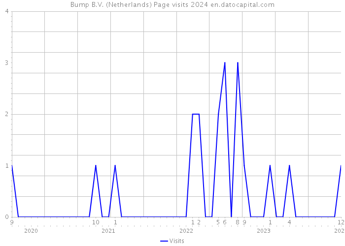 Bump B.V. (Netherlands) Page visits 2024 