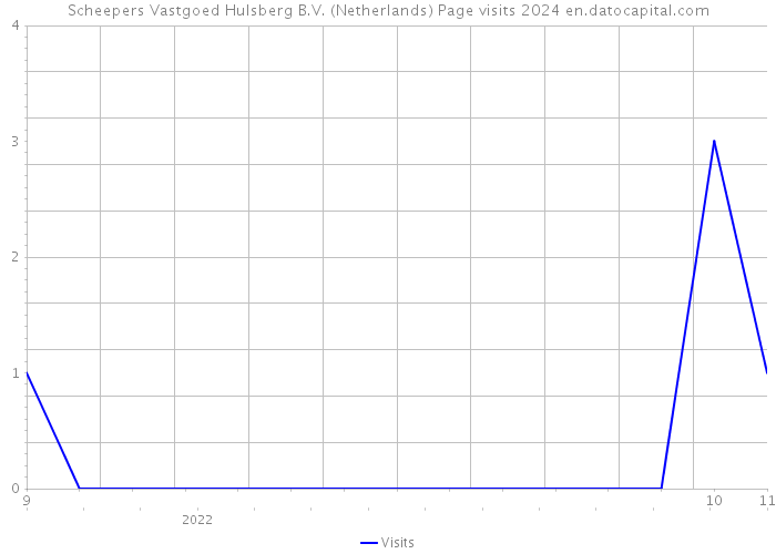 Scheepers Vastgoed Hulsberg B.V. (Netherlands) Page visits 2024 