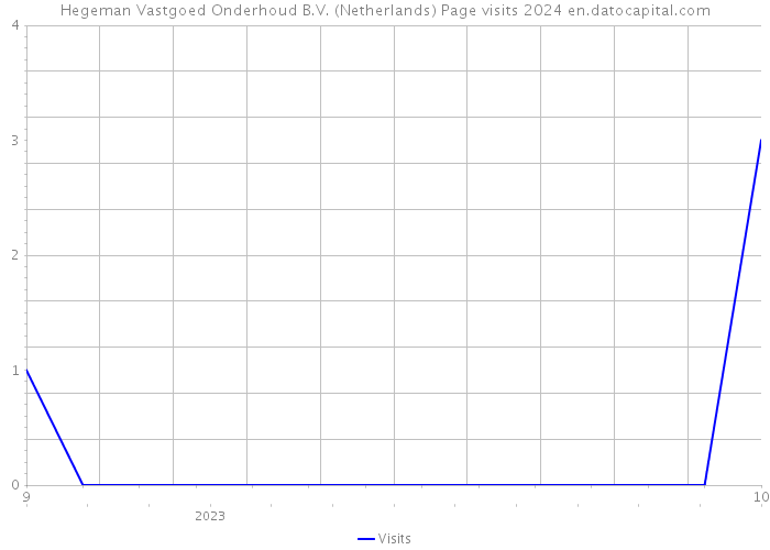 Hegeman Vastgoed Onderhoud B.V. (Netherlands) Page visits 2024 