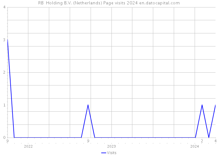 RB+ Holding B.V. (Netherlands) Page visits 2024 
