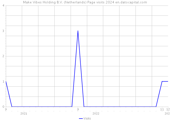 Make Vibes Holding B.V. (Netherlands) Page visits 2024 