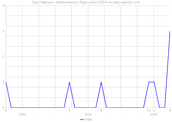 Paul Nabuurs (Netherlands) Page visits 2024 