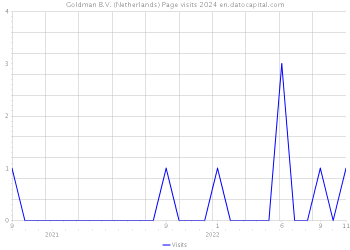 Goldman B.V. (Netherlands) Page visits 2024 