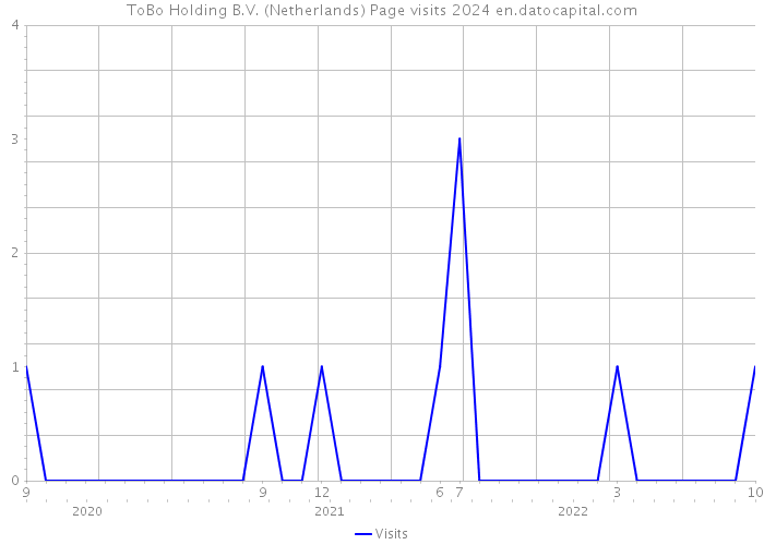 ToBo Holding B.V. (Netherlands) Page visits 2024 