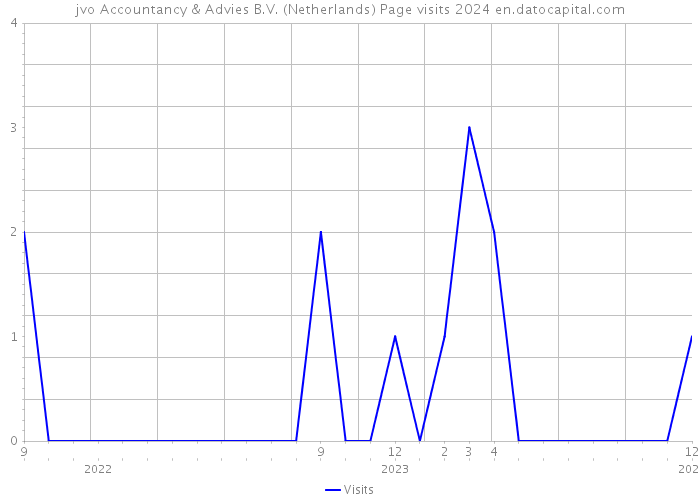 jvo Accountancy & Advies B.V. (Netherlands) Page visits 2024 