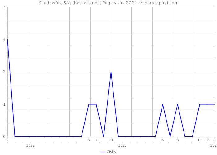 Shadowfax B.V. (Netherlands) Page visits 2024 