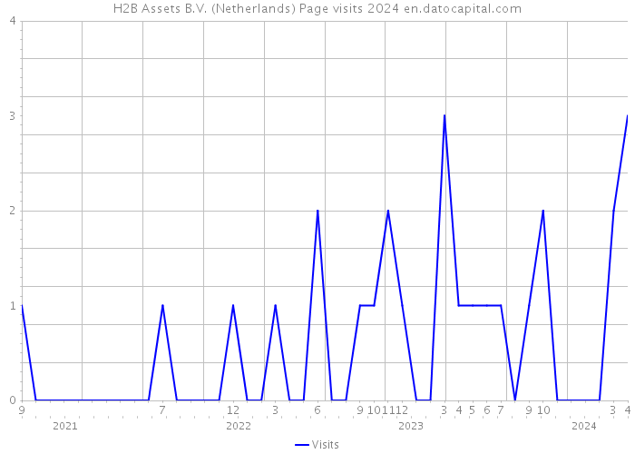 H2B Assets B.V. (Netherlands) Page visits 2024 