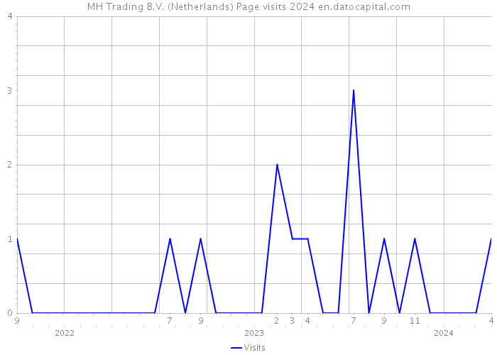 MH Trading B.V. (Netherlands) Page visits 2024 