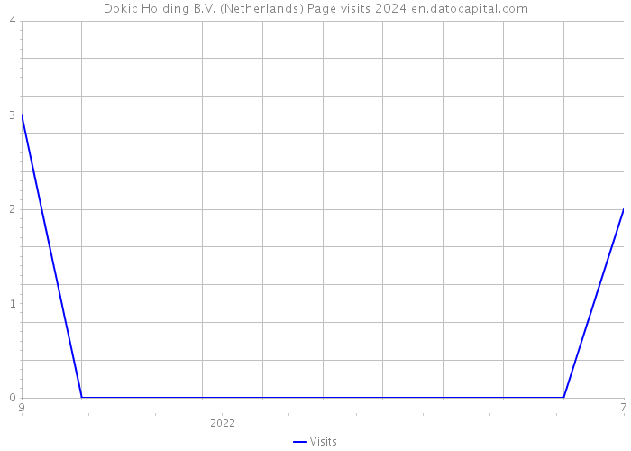 Dokic Holding B.V. (Netherlands) Page visits 2024 