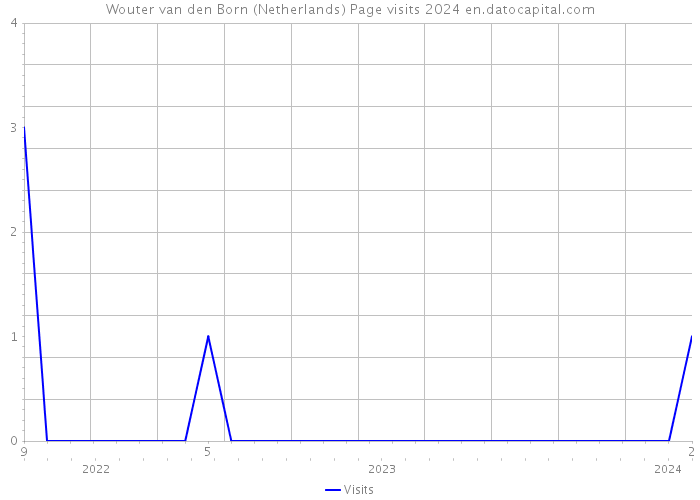 Wouter van den Born (Netherlands) Page visits 2024 