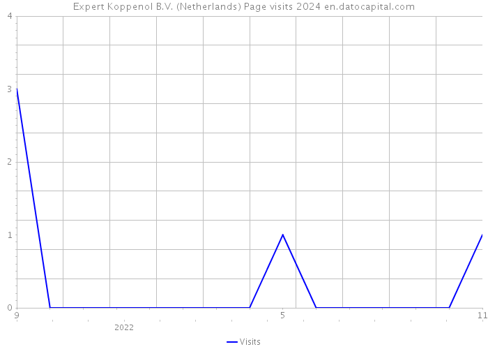 Expert Koppenol B.V. (Netherlands) Page visits 2024 