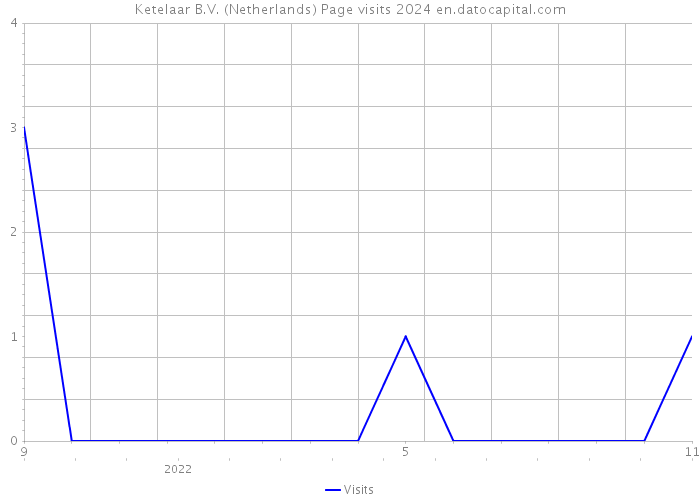 Ketelaar B.V. (Netherlands) Page visits 2024 