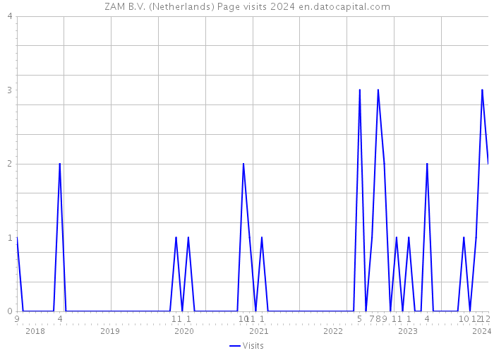 ZAM B.V. (Netherlands) Page visits 2024 