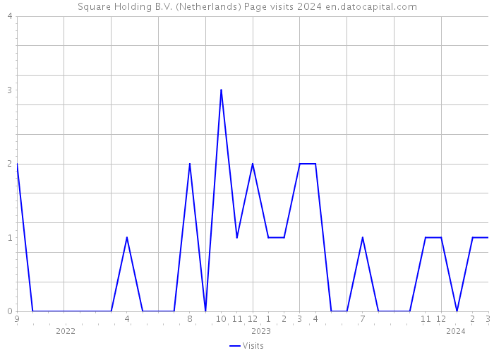 Square Holding B.V. (Netherlands) Page visits 2024 