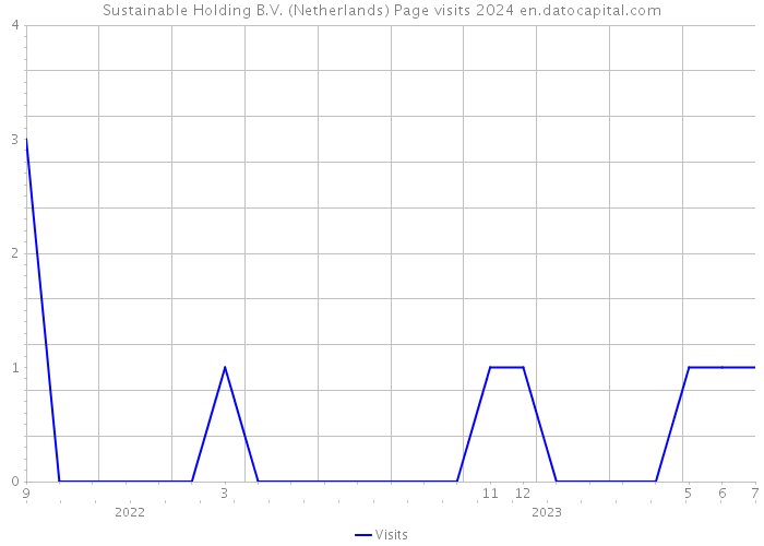 Sustainable Holding B.V. (Netherlands) Page visits 2024 