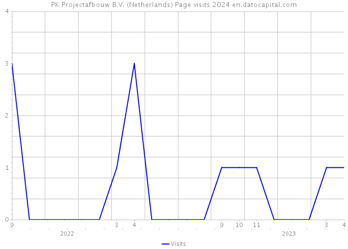 PK Projectafbouw B.V. (Netherlands) Page visits 2024 