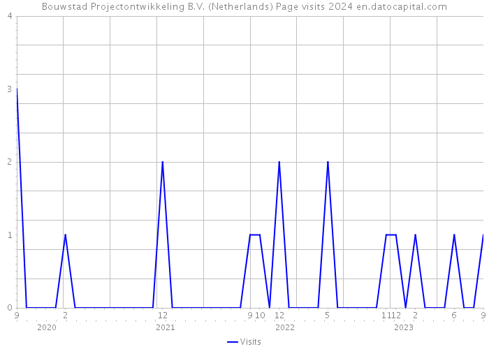 Bouwstad Projectontwikkeling B.V. (Netherlands) Page visits 2024 