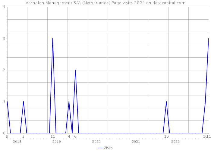 Verholen Management B.V. (Netherlands) Page visits 2024 