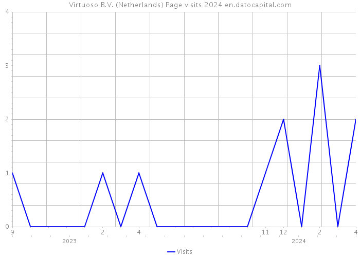 Virtuoso B.V. (Netherlands) Page visits 2024 