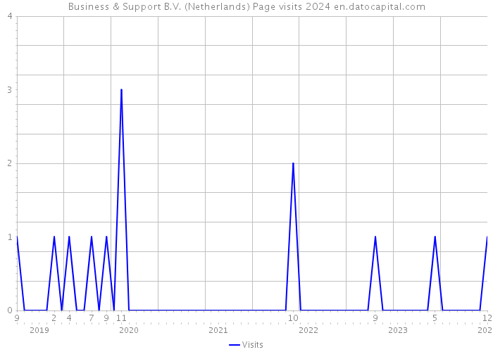 Business & Support B.V. (Netherlands) Page visits 2024 
