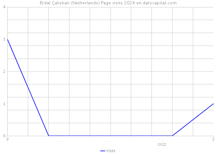 Erdal Çaliskan (Netherlands) Page visits 2024 