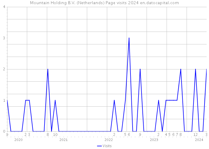 Mountain Holding B.V. (Netherlands) Page visits 2024 