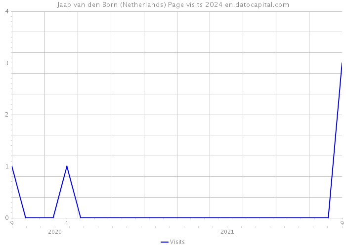 Jaap van den Born (Netherlands) Page visits 2024 