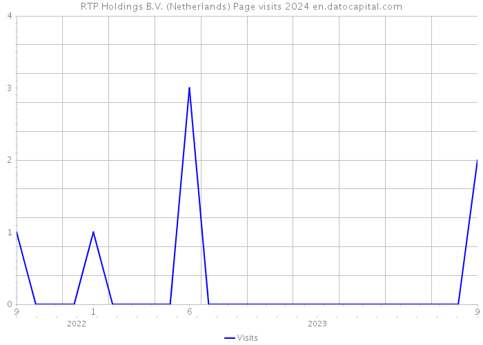 RTP Holdings B.V. (Netherlands) Page visits 2024 