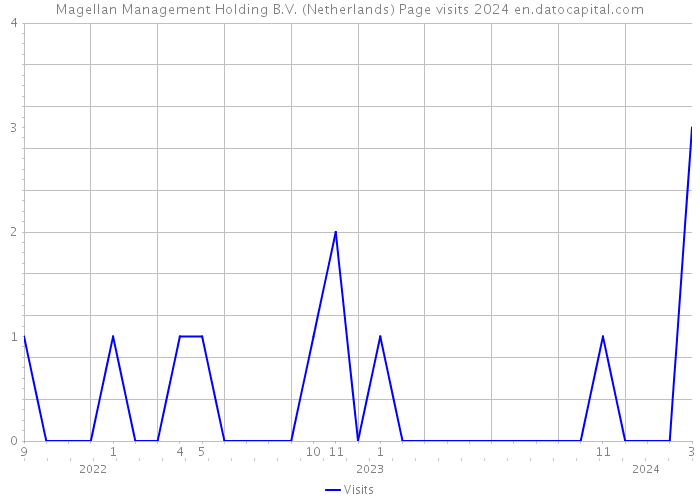 Magellan Management Holding B.V. (Netherlands) Page visits 2024 