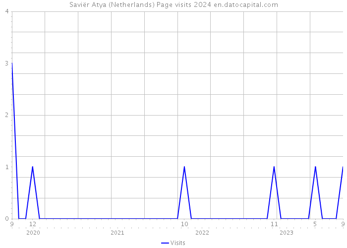 Saviër Atya (Netherlands) Page visits 2024 
