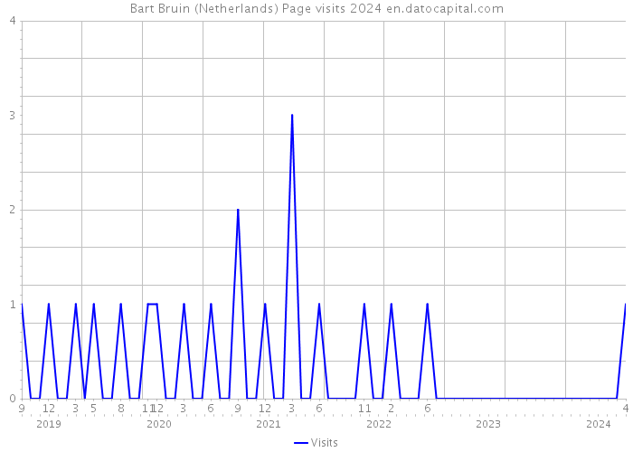 Bart Bruin (Netherlands) Page visits 2024 