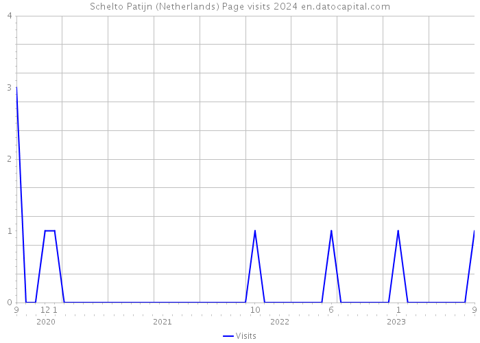 Schelto Patijn (Netherlands) Page visits 2024 