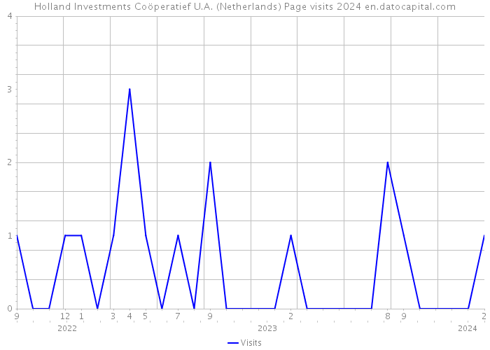 Holland Investments Coöperatief U.A. (Netherlands) Page visits 2024 