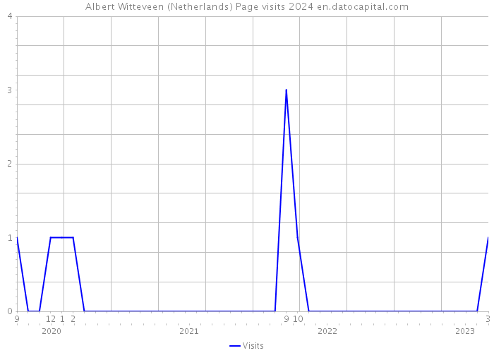Albert Witteveen (Netherlands) Page visits 2024 