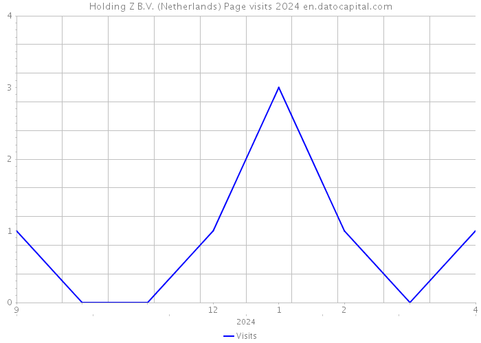 Holding Z B.V. (Netherlands) Page visits 2024 
