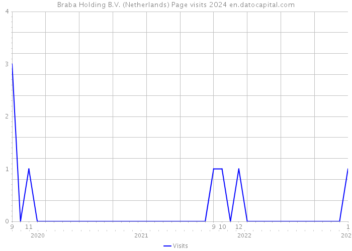 Braba Holding B.V. (Netherlands) Page visits 2024 