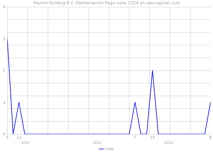 Marimi Holding B.V. (Netherlands) Page visits 2024 