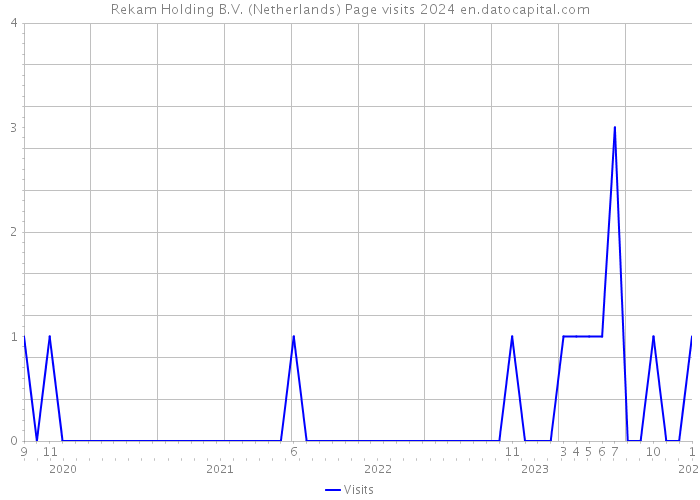 Rekam Holding B.V. (Netherlands) Page visits 2024 